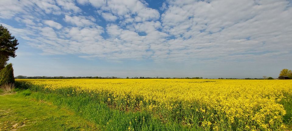 +++PREISSENKUNG+++VERKAUF+++ 4 Baugrundstücke mit Baugenehmigung in Ostseenähe in Niepars