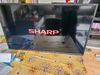 Sharp TV 40 Zoll Brandenburg - Fürstenwalde (Spree) Vorschau