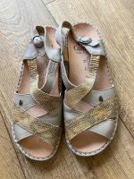 Finn Comfort Sandalen mit neuer Einlage Gr 40 Niedersachsen - Wagenfeld Vorschau