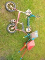 DDR Kinderschubkarre Schubkarre Roller Fahrrad Ostalgie Spielzeug Ludwigslust - Landkreis - Grabow Vorschau