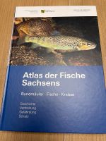 „Atlas der Fische Sachsens“ von Senckenberg Sachsen - Schlema Vorschau