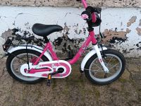 Kinderfahrrad 14 Zoll Brandenburg - Lindow Vorschau