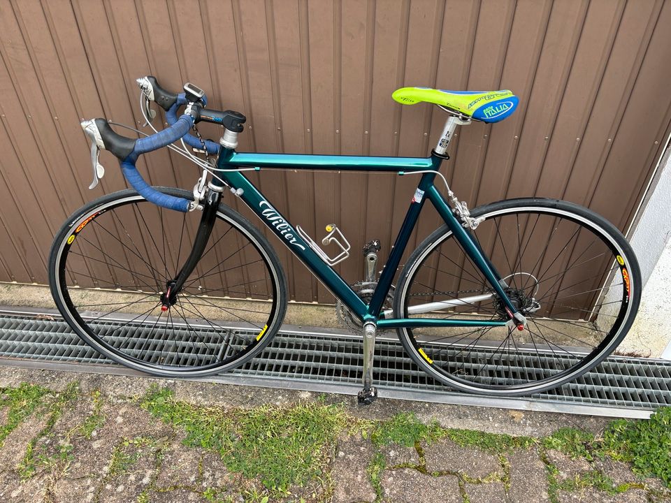 Rennrad Wilier Triestina Damenrad in Rheinfelden (Baden)