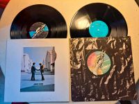 Pink Floyd  Vinyl-Alben (Konvolut) Brandenburg - Brandenburg an der Havel Vorschau