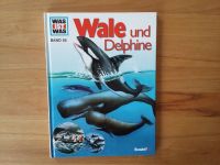 Petra Deimer: Was ist was - Wale und Delfine (Band 85) Nordrhein-Westfalen - Herdecke Vorschau