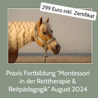 Praxis Fortbildung Montessori in der Reittherapie & Reitpädagogik Brandenburg - Wittenberge Vorschau