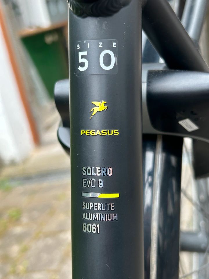 Herren E-Bike Pegasus Solero EVO 9 in Althengstett