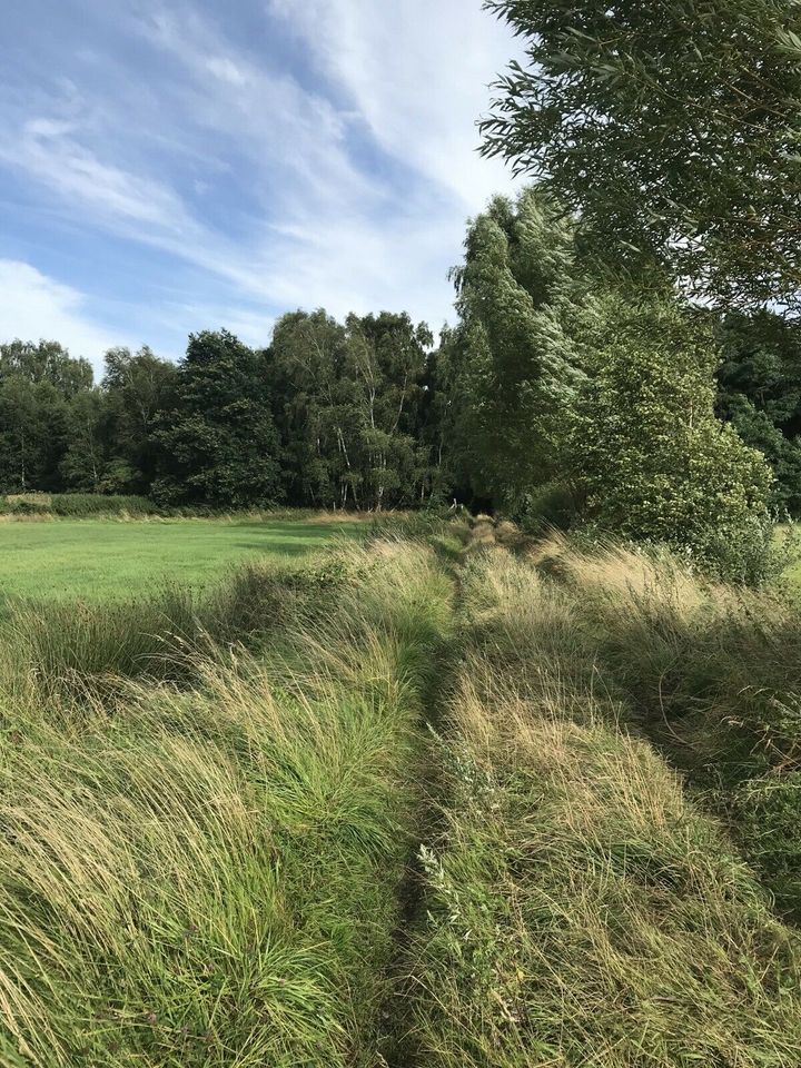 Ferienhaus Bernsteinsee von privat für 2 Personen in Wolfenbüttel