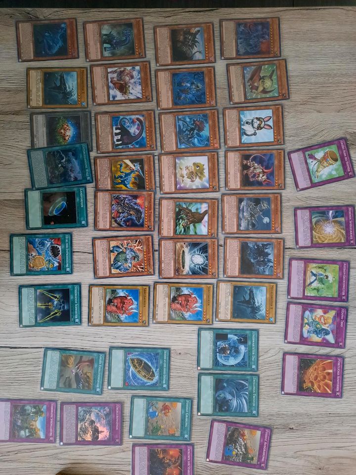 Yugioh Karten (Battle City Box/Dino Deck/Geargia Deck in Am Großen Bruch