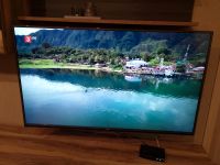 Fernseher TV Smart-TV LCD 55 Zoll LG 55UF6859 Baden-Württemberg - Meßkirch Vorschau