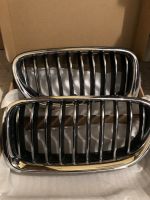 Bmw F11 F10 Kühlergrill / Niere Chrom ORIGINAL Sachsen-Anhalt - Zabenstedt Vorschau