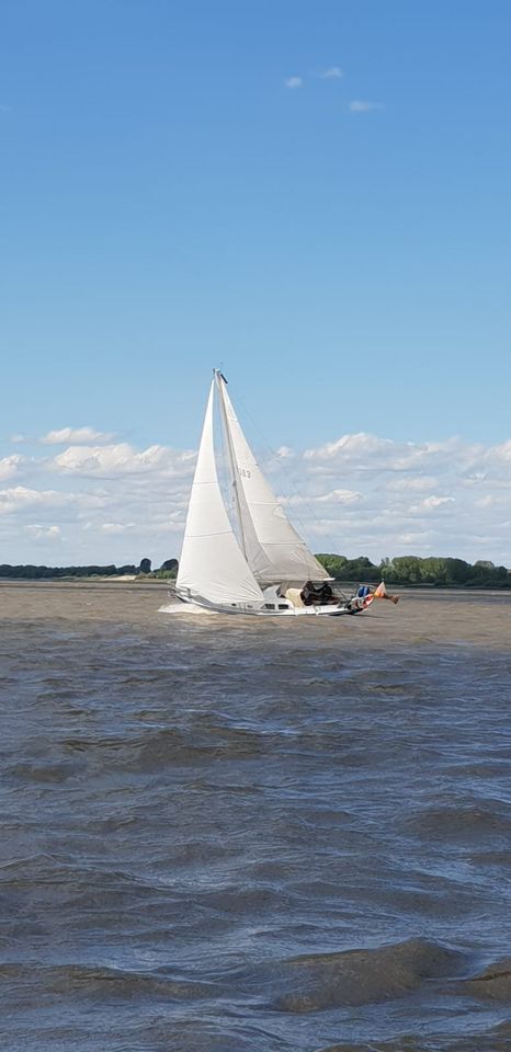 36ft Segelyacht, Segelboot Beister classic variabler Tiefgang in Hamburg