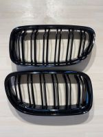 BMW PERFORMANCE M3 Grill Nierern schwarz 3er E90 E91 F30 F31 s Rheinland-Pfalz - Brachbach Vorschau