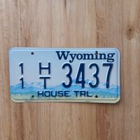 Wyoming Trailer USA US Kennzeichen Nummernschild license plate Bayern - Großmehring Vorschau