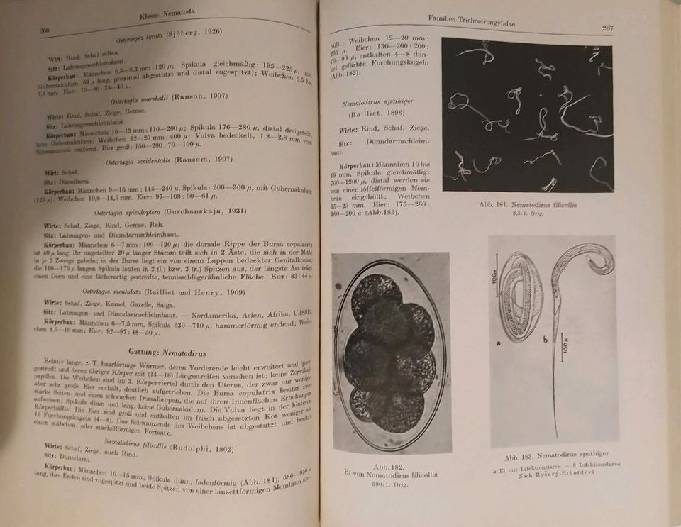 Lehrbuch der Parasitologie für Tierärzte Alfred Borchert in Wiesbaden