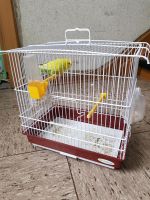 Vogel und neuen Käfig zu verkaufen Nordrhein-Westfalen - Herne Vorschau