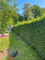 Hecke schneiden/ Gartenpflege/ Heckenschnitt Nordrhein-Westfalen - Gelsenkirchen Vorschau