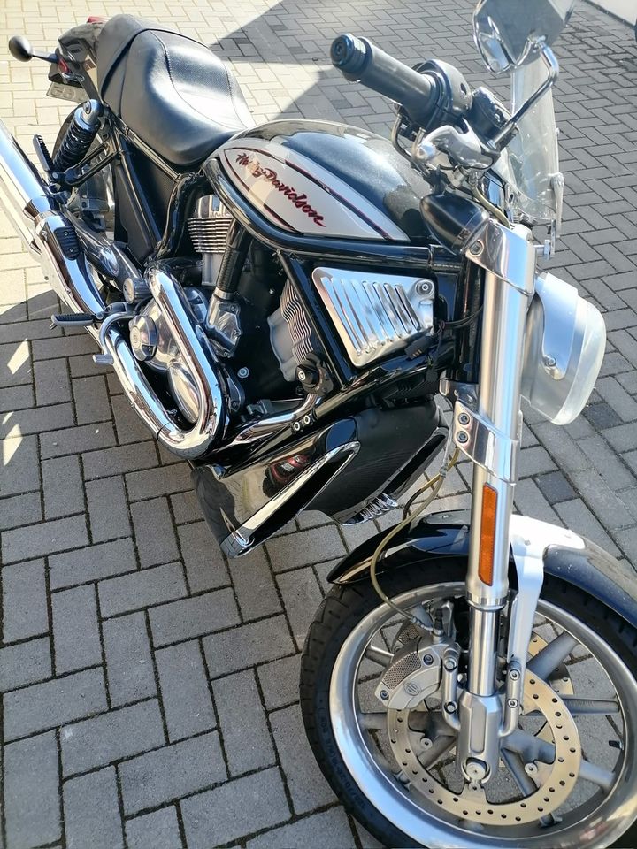 Harley Davidson VRSCR Street Rod in Lutherstadt Wittenberg