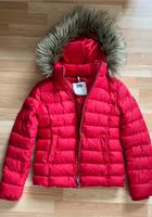 Tommy Jacke - Rot Xs Nordrhein-Westfalen - Ahlen Vorschau
