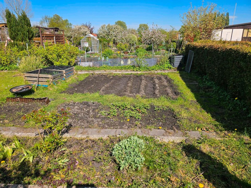 Kleingarten Schrebergarten in Rostock