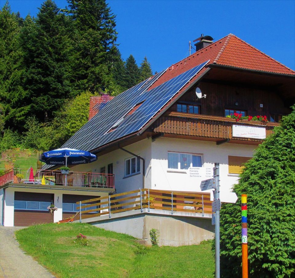 Urlaub BlackForest FeWos Natur Bauernhof Berg Kinderfreundlich in Wiesbaden