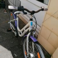 Fahrrad 24 zoll Mädchen Kiel - Elmschenhagen-Kroog Vorschau