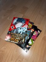 Mangas zum Verkauf Niedersachsen - Dinklage Vorschau