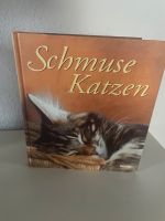 Katzen Buch "Schmusekqtzen" Nordrhein-Westfalen - Bad Driburg Vorschau