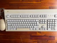 Apple ADB Keyboard und Maus Brandenburg - Neu-Zittau Vorschau