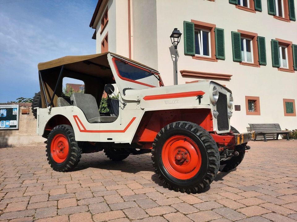 Jeep Willys/ H-Zulassung/Schweizer Fahrzeug in Emmendingen