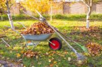 Laub aufsammeln und entsorgen - Gartenarbeiten Hessen - Lohfelden Vorschau