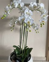 Kunstpflanze Orchidee Nordrhein-Westfalen - Metelen Vorschau