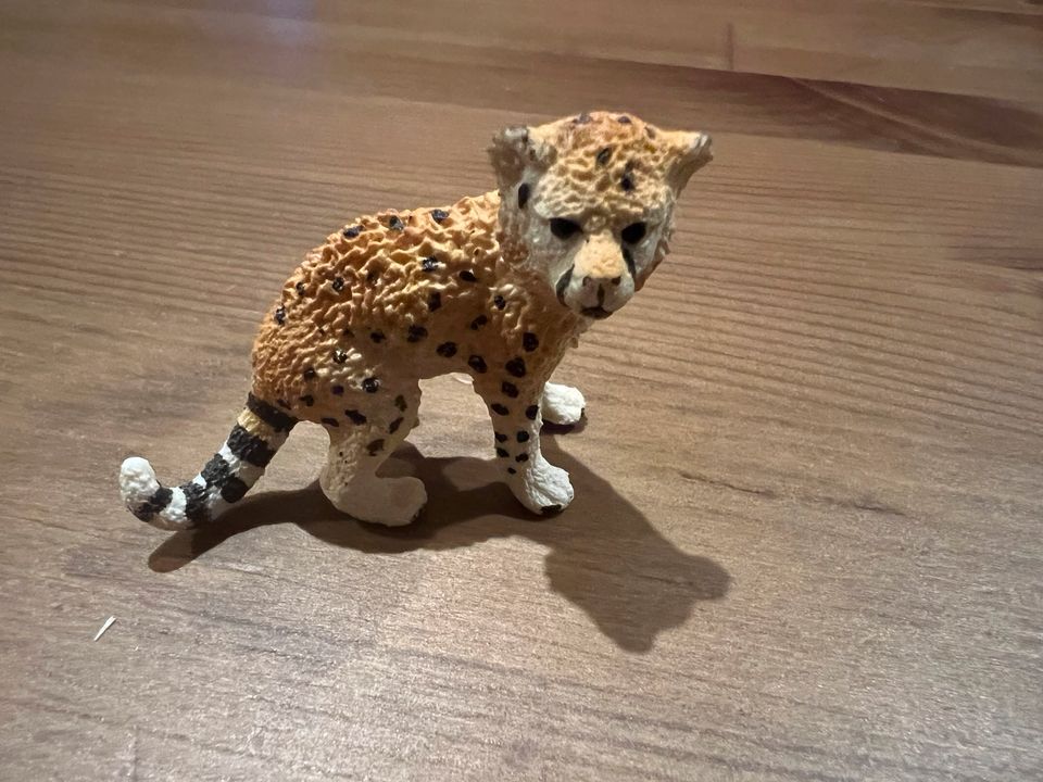 Schleich Tiere in Malschwitz