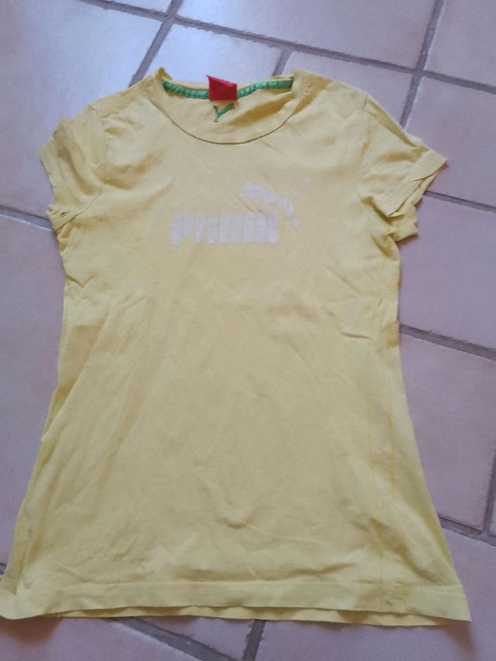 Puma Shirt Gr XS 32 34 Damen Sommer Kleidung in Nuthe-Urstromtal