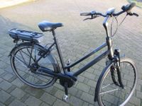 E-Bike Batavus agudo E-go Nordrhein-Westfalen - Hopsten Vorschau