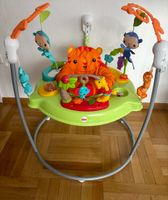 Fisher Price Spielspaß Rainforest Jumperoo Baden-Württemberg - Owen Vorschau