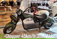 ⚡ e-Chopper M1P ⚡X9Plus ⚡ Elektroroller ⚡ E-Scooter ⚡ Grün Rheinland-Pfalz - Bad Kreuznach Vorschau