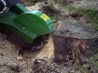 Wurzel fräsen Stubben Stock Baum Ast entfernen fällen bruch Sturm Baden-Württemberg - Fronreute Vorschau