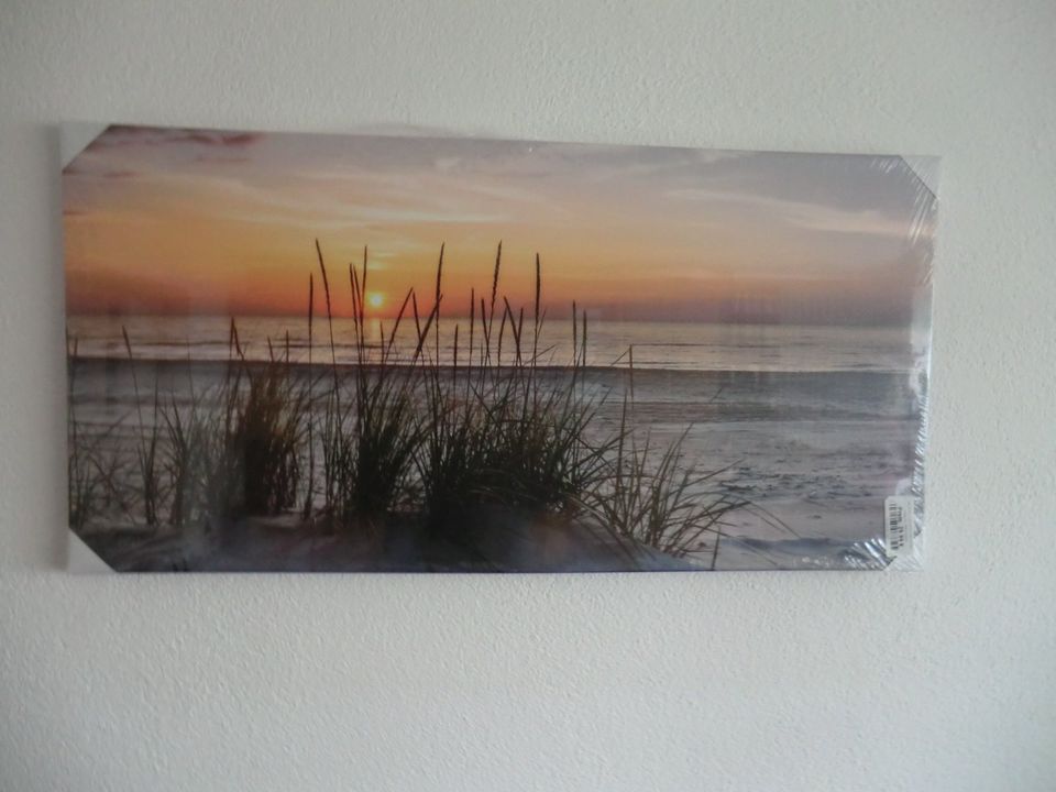 Bilddruck auf Leinwand "Sonnenaufgang" 100x50cm in Hilgertshausen-Tandern