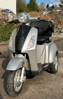 Eneway E-Trike Elektroroller Bayern - Sonthofen Vorschau