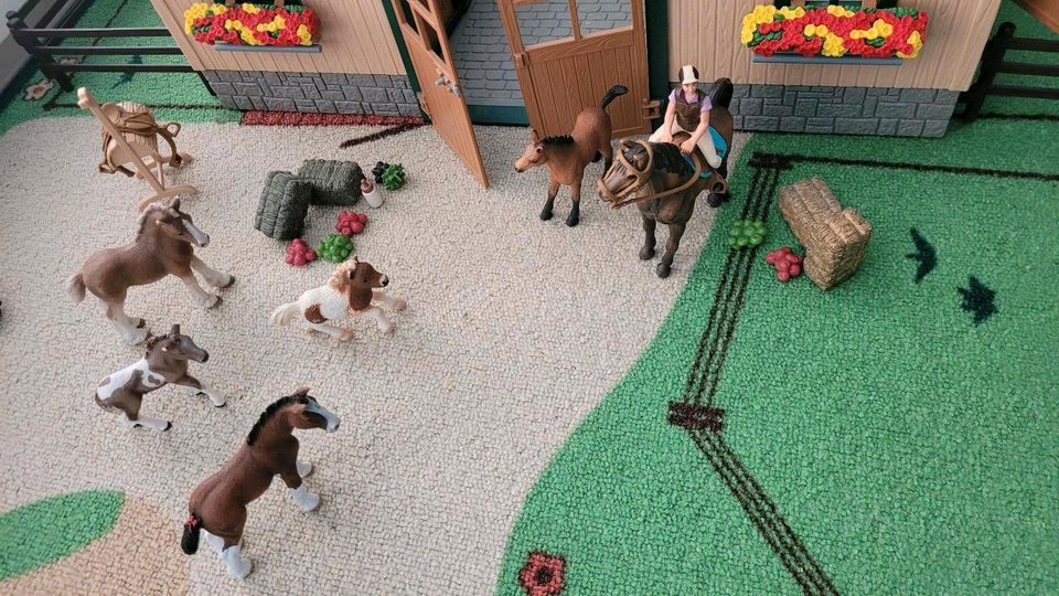 Schleich farm world horse club Pferdehof Pferdestall Waschplatz in Staufenberg