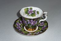 Sammeltasse Royal Albert Provincial Flowers Purple Violet Hemelingen - Hastedt Vorschau