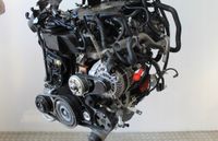 Renault Alaskan 2,3 DCI YS23D276 Motor Triebwerk Engine Nordrhein-Westfalen - Dorsten Vorschau