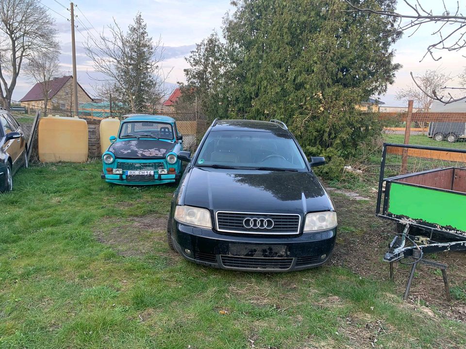 Audi A6 WW. Audi S6 in Oschersleben (Bode)