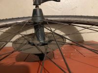 Hinterrad 26“ Specialized Stout 9fach Laufrad Weinmann ZAC2000 Bochum - Bochum-Südwest Vorschau