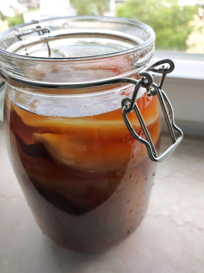 Kombucha Pilz, Scoby abzugeben in Kaufering