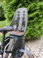 Thule Yepp Nexxt Maxi Fahrradkindersitz Sachsen-Anhalt - Naumburg (Saale) Vorschau
