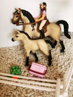 Schleich Set Bad Doberan - Landkreis - Rövershagen Vorschau