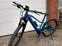 E-Bike Axess Element 27,5 Nordrhein-Westfalen - Lippstadt Vorschau