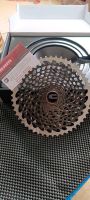 SRAM XG-1295 Eagle X01 Kassette 10-50T 12Speed *NEU* Dresden - Gorbitz-Süd Vorschau